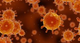 An illustration depicts antibodies.
