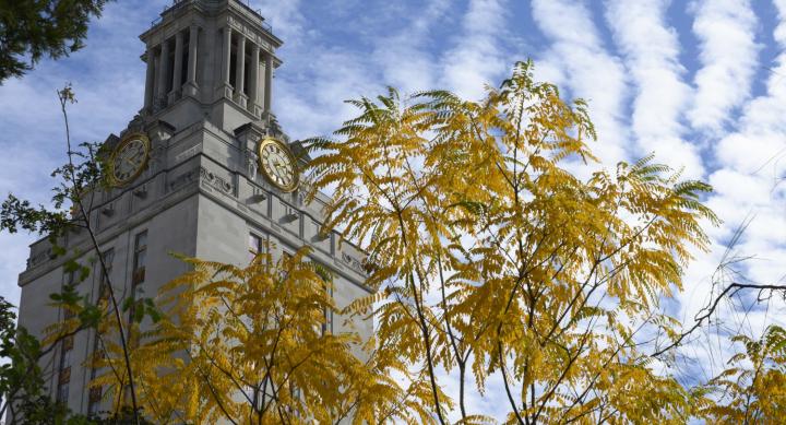 Tower building and fall leaves