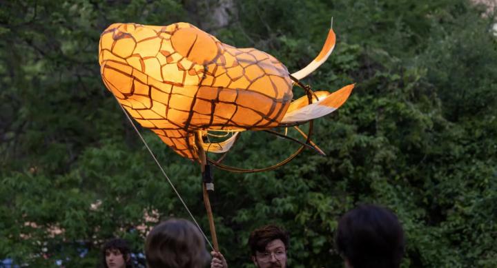 Students fly a puppet of a golden snake's head in front of a large tree.
